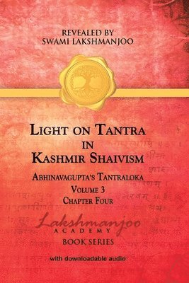 bokomslag Light on Tantra in Kashmir Shaivism - Volume 3
