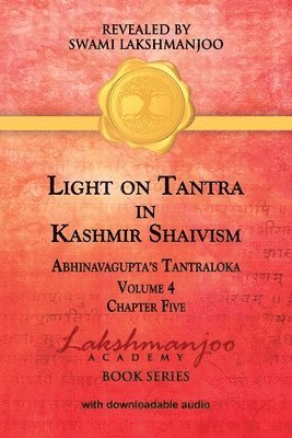 bokomslag Light on Tantra in Kashmir Shaivism - Volume 4 - Chapter Five