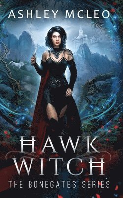 Hawk Witch 1