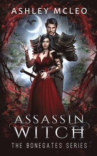 bokomslag Assassin Witch