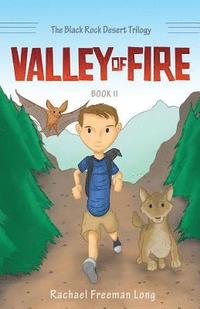 bokomslag Valley of Fire