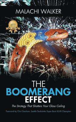 bokomslag Boomerang Effect