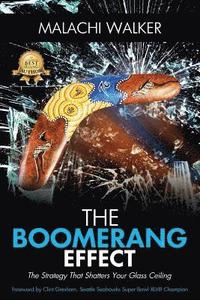 bokomslag The Boomerang Effect