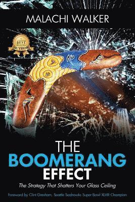 bokomslag Boomerang Effect