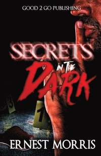 bokomslag Secrets in the Dark