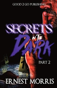 bokomslag Secrets in the Dark 2