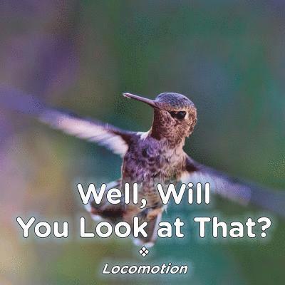 Brent A Ford, Lucy McCullough Hazlehurst, Brent A. Ford - Well, Will You Look at That? Locomotion, Häftad