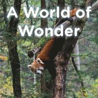 bokomslag A World of Wonder