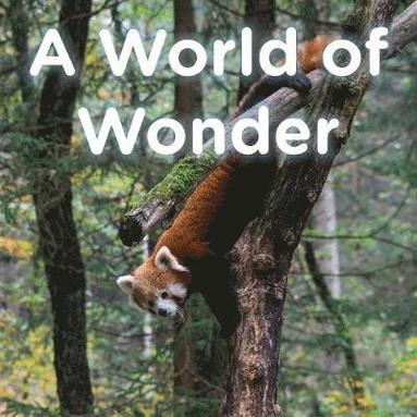 bokomslag A World of Wonder