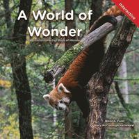 bokomslag World of Wonder