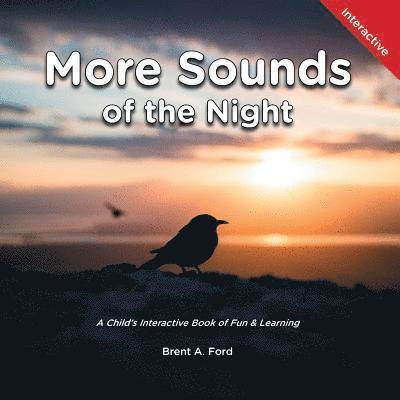 More Sounds of the Night 1