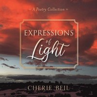 bokomslag Expressions of Light