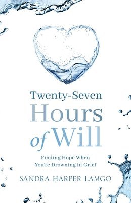 bokomslag Twenty Seven Hours of Will