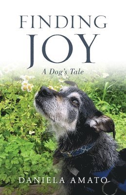 bokomslag Finding Joy