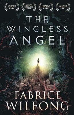 bokomslag The Wingless Angel