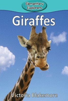 bokomslag Giraffes