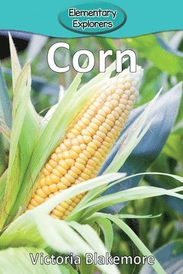 bokomslag Corn