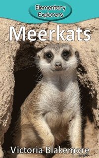 bokomslag Meerkats
