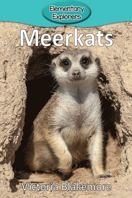 bokomslag Meerkats