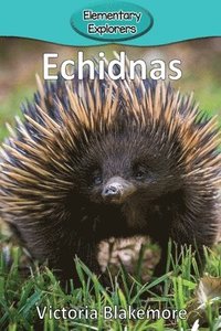 bokomslag Echidnas