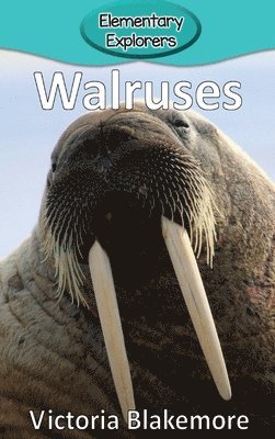 bokomslag Walruses