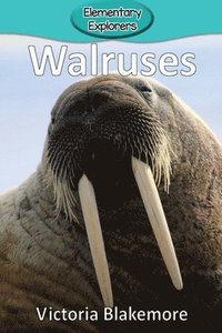 bokomslag Walruses