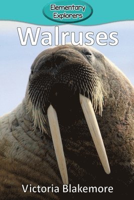 bokomslag Walruses