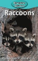 bokomslag Raccoons