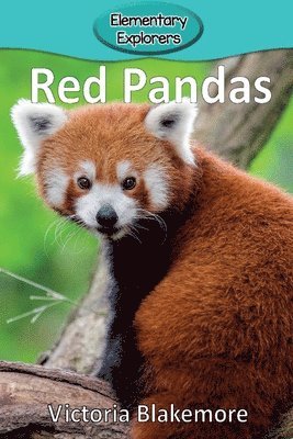 bokomslag Red Pandas