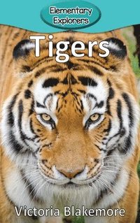 bokomslag Tigers