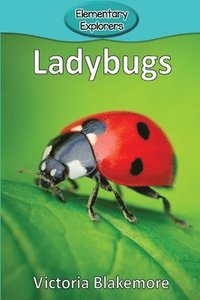 bokomslag Ladybugs