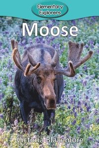 bokomslag Moose