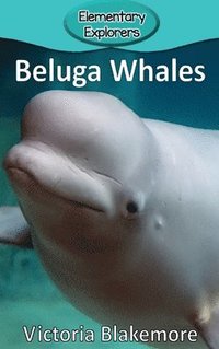 bokomslag Beluga Whales