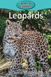 bokomslag Leopards