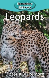 bokomslag Leopards