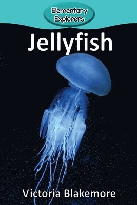 bokomslag Jellyfish