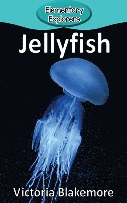 bokomslag Jellyfish