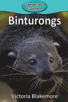 bokomslag Binturongs