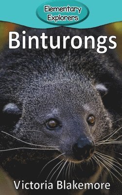 bokomslag Binturongs