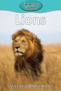 bokomslag Lions