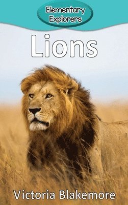 Lions 1