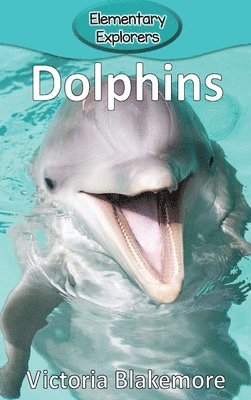 bokomslag Dolphins