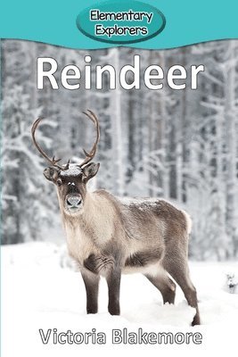 bokomslag Reindeer