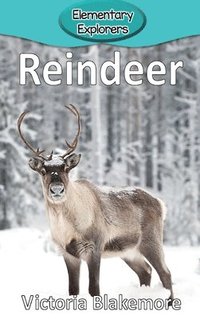 bokomslag Reindeer