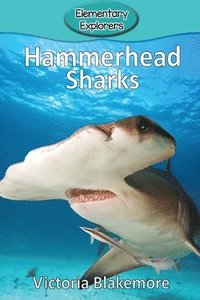 bokomslag Hammerhead Sharks