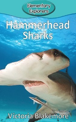 bokomslag Hammerhead Sharks