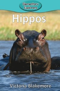 bokomslag Hippos