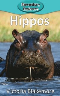 bokomslag Hippos