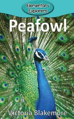 bokomslag Peafowl