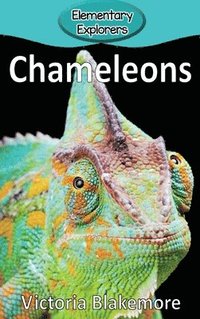 bokomslag Chameleons